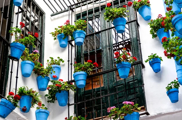 Gartenarbeit Freien Blaue Blumentöpfe Der Hauswand Einem Spanischen Innenhof — Stockfoto