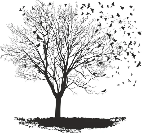 Vector Illustration Herd Ravens Tree Maple — Stock Photo, Image