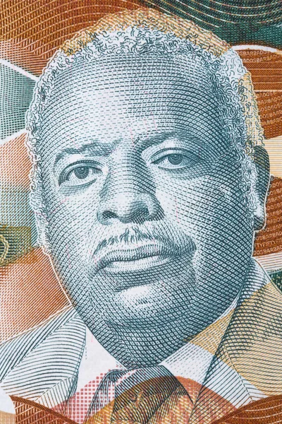 Retrato Flecha Errores Dólares Bárbaros — Foto de Stock