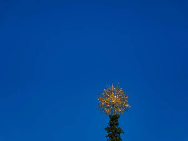 Blauer Himmel Mit Einem Goldenen Punkt Kristallform Auf Einem Baum — Stockfoto