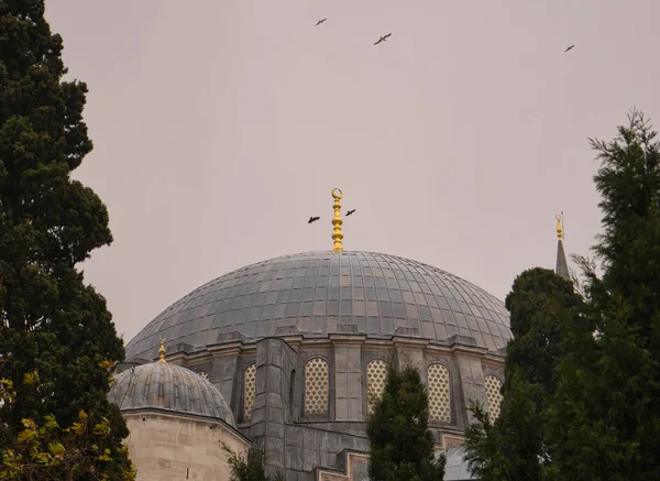 Kuşlar Bulutlu Gökyüzünde Büyük Bir Caminin Kubbesinin Üzerinde Daireler Çiziyor — Stok fotoğraf