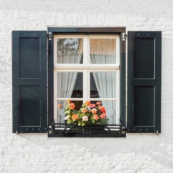 Fenster Auf Weißem Backstein Wand Mit Rollläden Und Blühenden Blumentopf — Stockfoto