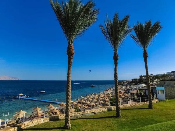 stock image Red sea beach with parasols at sunset at Sharm