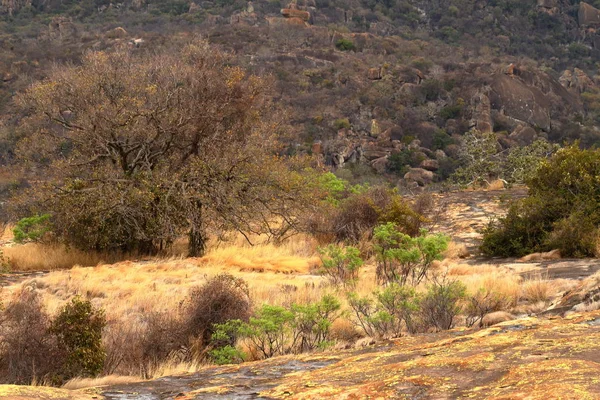 Paesaggio Del Parco Nazionale Del Matopo Zimbabwe — Foto Stock