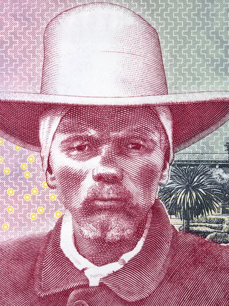 Портрет Гендріка Вітбуї Намібійських Грошей — стокове фото