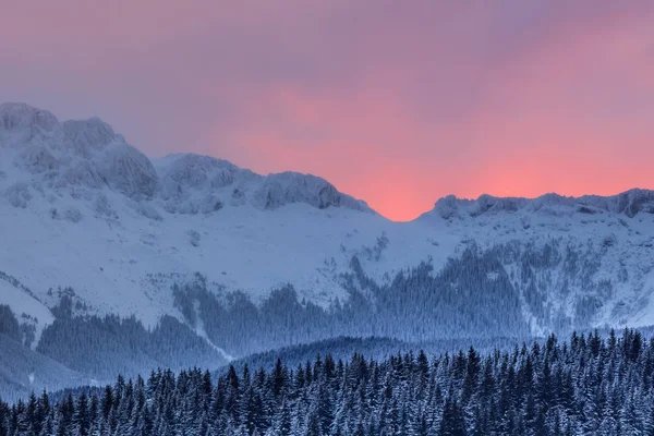 冬の山の風景 ルーマニア ブチェジ山脈 — ストック写真