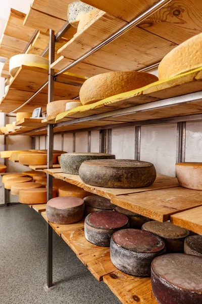木製の棚に熟成庫の酪農場でチーズの車輪 — ストック写真