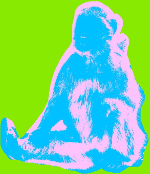 Affenbild Über Neongrünem Hintergrund Pop Art Stil — Stockfoto