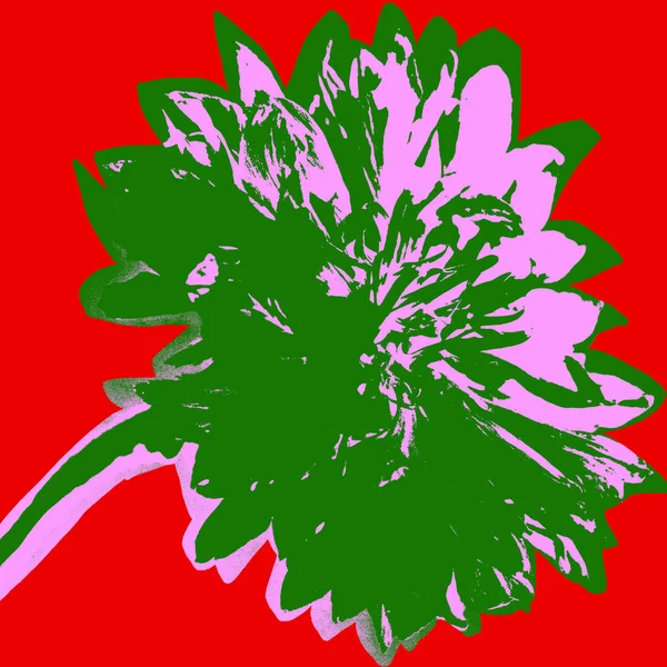 Pop Art Tarzı Kırmızı Arka Plan Üzerinde Cornflower Resim — Stok fotoğraf