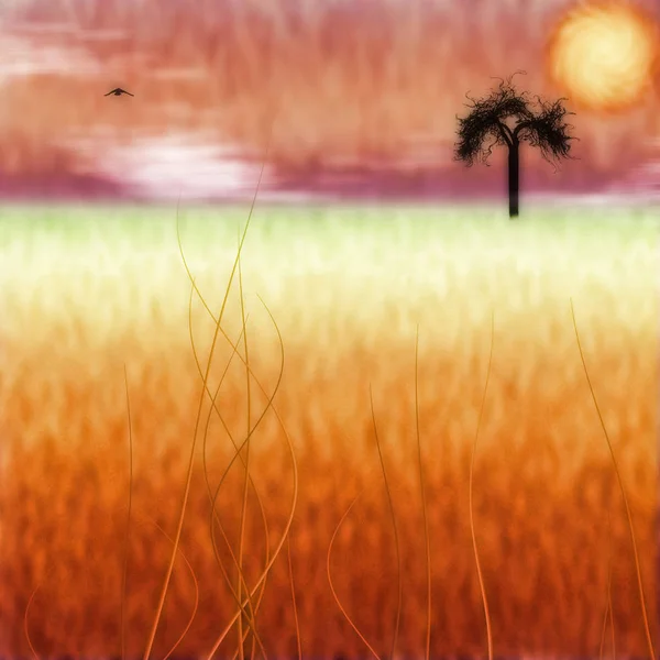 Abstract Landschap Oranje Zonsondergang Eenzame Boom Vogel Lucht — Stockfoto