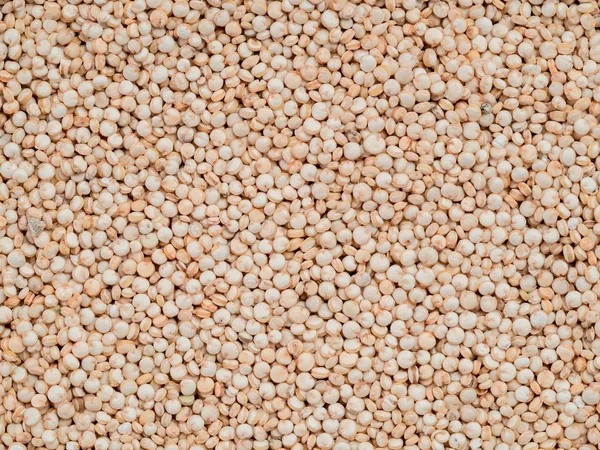 Grain Quinoa Uncooked Raw Quinoa Background Healthy Vegan Food Concept — Stock Photo, Image