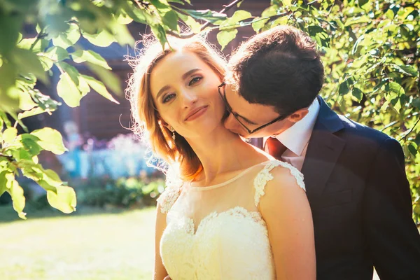 Bruden Och Brudgummen Bakgrunden Sommaren Skog — Stockfoto