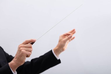 Close-up Of A Person's Hand Directing With Conductors Baton  clipart