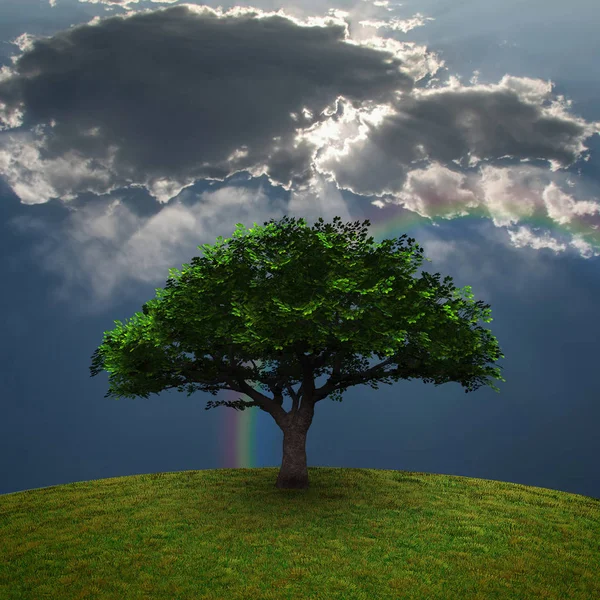 Zelený Strom Dramatické Mraky Duha Vykreslování — Stock fotografie