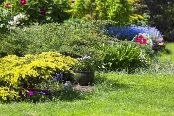 Belo Jardim Primavera Beleza Natureza — Fotografia de Stock