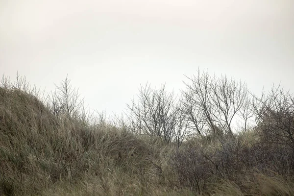 Duinlandschap Het Eiland Helgoland — Stockfoto