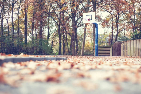 Herbst Park Mit Basketballplatz Alter Jahrgang — Stockfoto