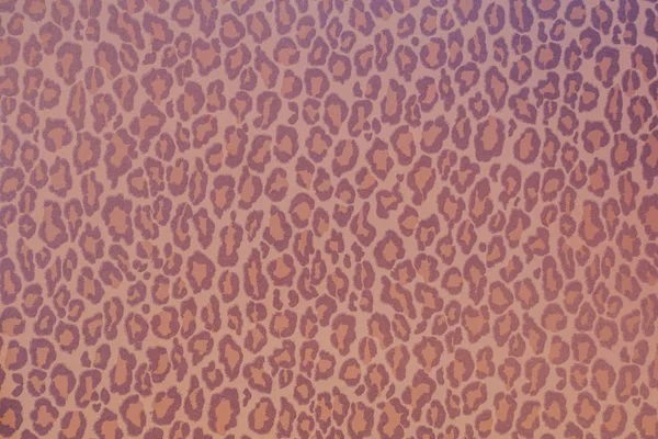 Leopardo Animal Salvaje Patrón Fondo Textura Concepto Fondo Pantalla — Foto de Stock