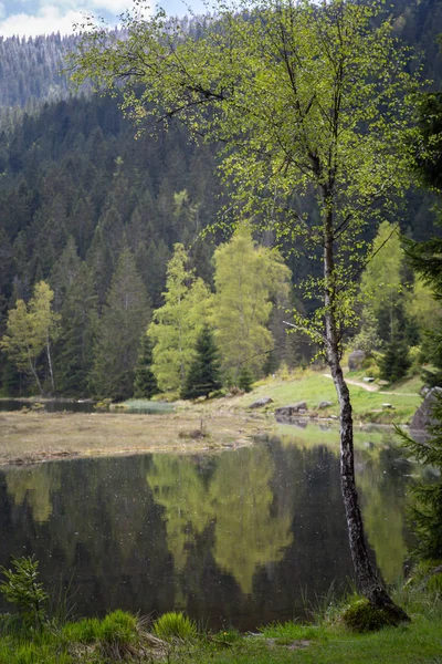 Krajobraz Małym Arbersee Bawarii — Zdjęcie stockowe