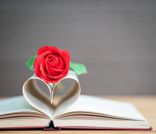 Páginas Livro Curvo Forma Coração Rosa Vermelha Conceito Amor Forma — Fotografia de Stock