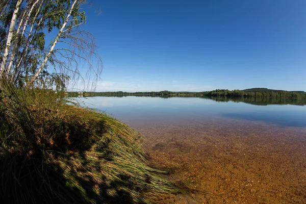 Environment Lake Murner Wackersdorf Bavaria — Stock Photo, Image