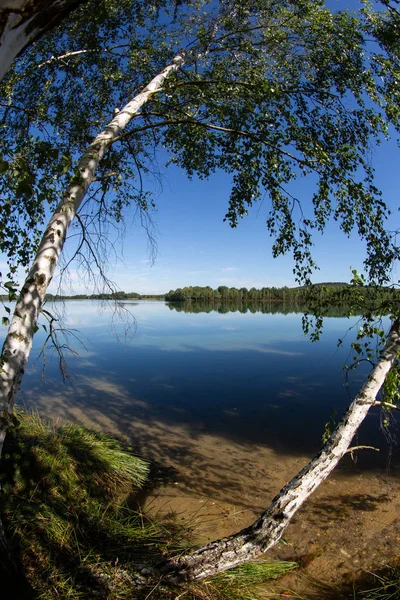 Ambiente Torno Lago Murner Baviera Wackersdorf — Fotografia de Stock