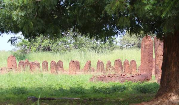 Старое Кладбище Гамбии Коричневые Камни — стоковое фото