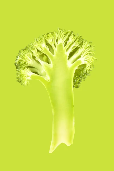Brokoli Dilimi Arka Planda Izole Edilmiş Modern Duotone Arkaplan — Stok fotoğraf