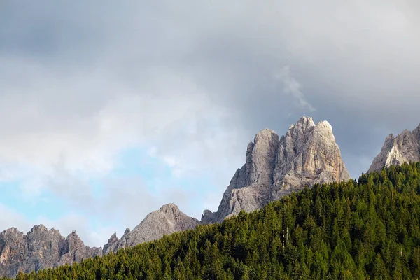 Dolomiten Der Warmen Jahreszeit Grüner Wald Vordergrund Italiens Schönheiten — Stockfoto