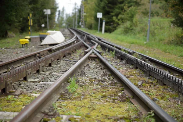 Demiryolu Strbske Pleso Slovakya — Stok fotoğraf