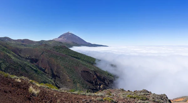 Cobertura Nuvens Fechada Sobre Vale Orotava Parque Nacional Tenerife Com — Fotografia de Stock