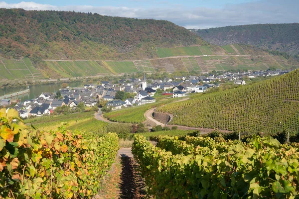 Vue Panoramique Sur Village Moselle Bruttig Fankel Jour Automne Allemagne — Photo