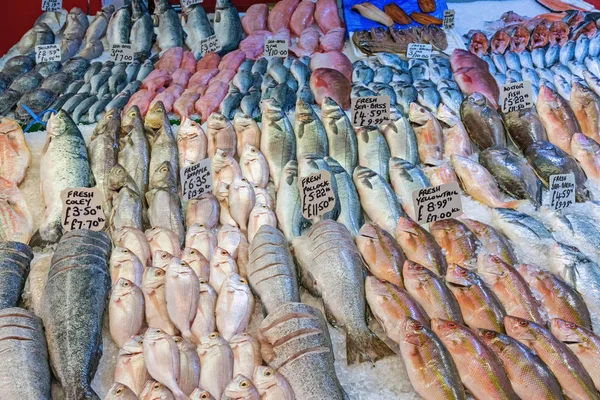 Grande Seleção Peixe Fresco Para Venda Mercado Brixton Londres — Fotografia de Stock