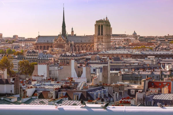 Vue Paris Avec Cathédrale Notre Dame France — Photo