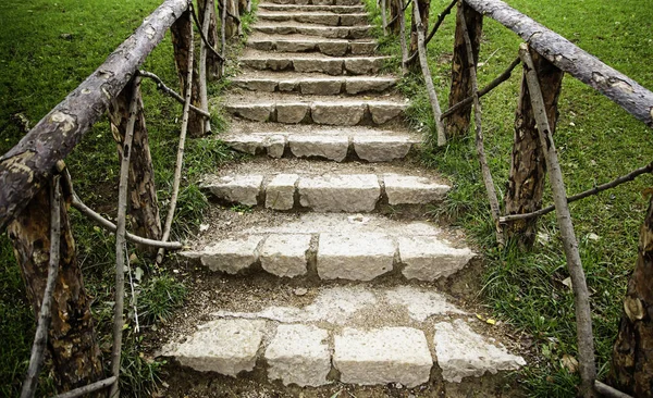 Alte Treppe Grünen Wald Detail Des Zugangs Zum Dunklen Wald — Stockfoto