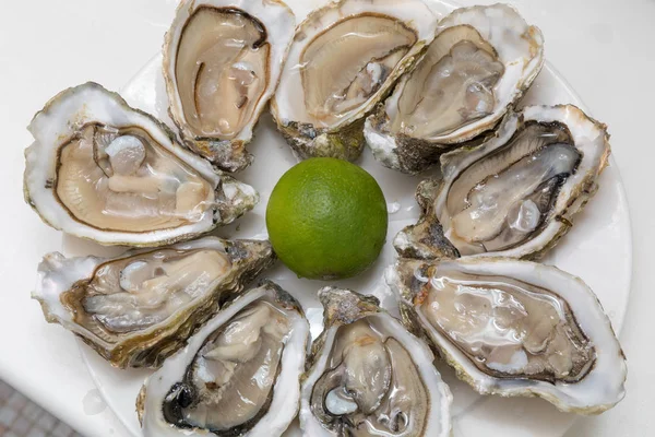 Serviert Offene Frische Austern Meeresfrüchte Auf Teller — Stockfoto