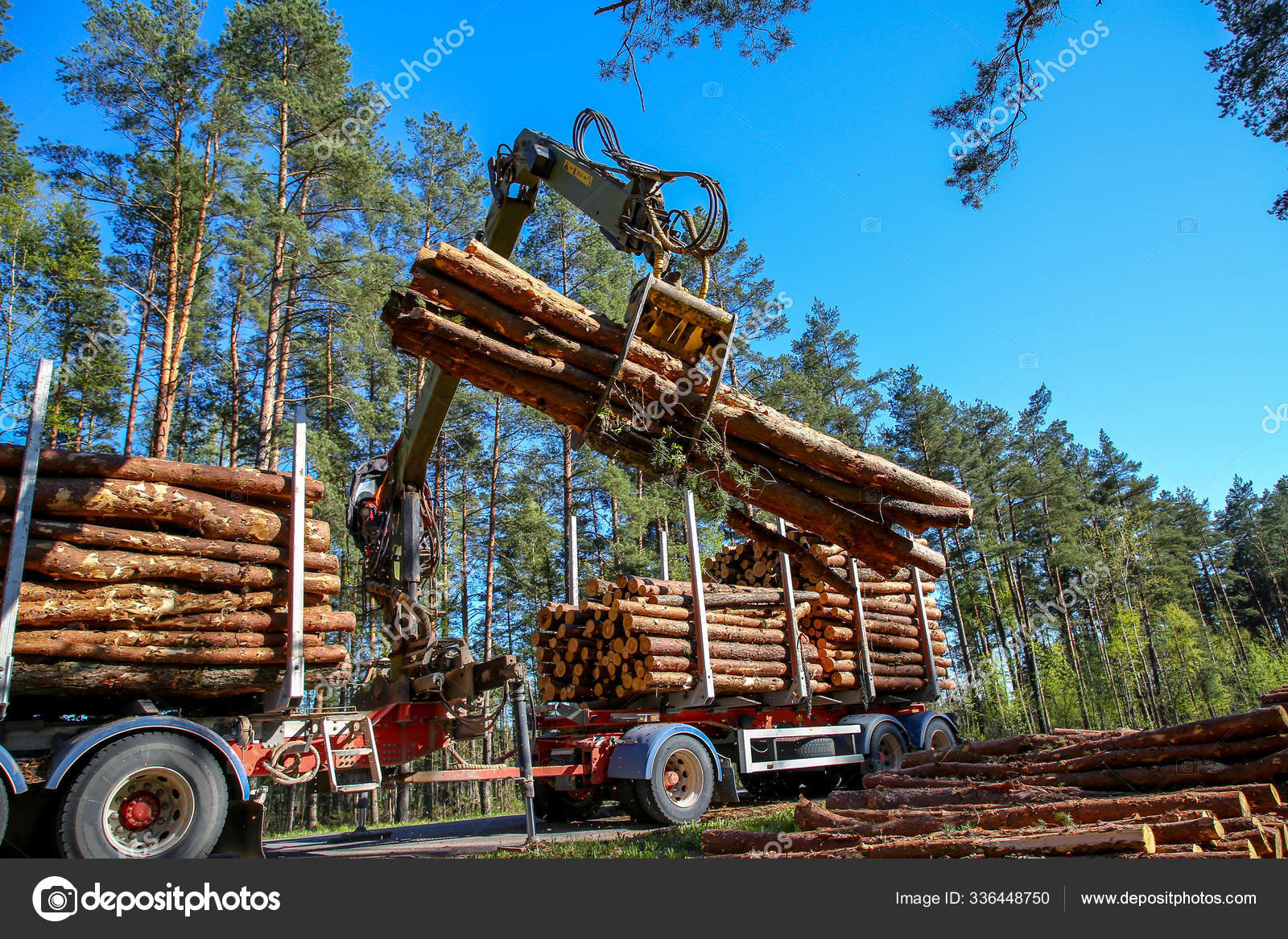 Crane Forest Loading Logs Truck Timber Harvesting Transportation Forest  Transport — Stock Photo © PantherMediaSeller #336448750
