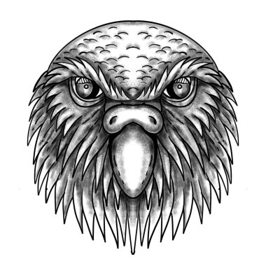 Tattoo style illustration of  of head of kakapo, night parrot or owl parrot, a species of flightless, nocturnal, ground-dwelling parrot endemic to New Zealand. clipart
