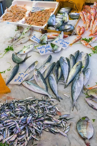 Peixes Frutos Mar Mercado Vucciria Palermo — Fotografia de Stock