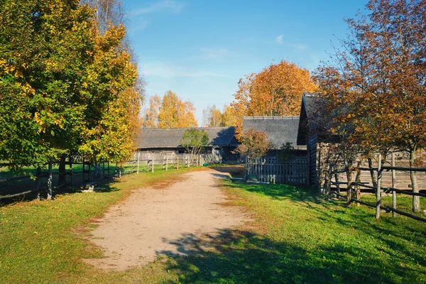 Старая Деревня Осенью Грязная Дорога Деревья Дома — стоковое фото