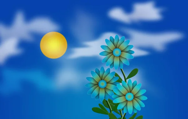デイジーと太陽 青空の雲 — ストック写真