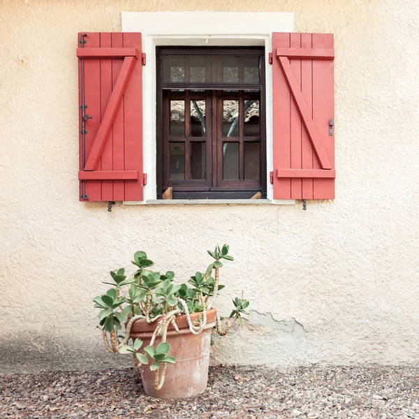 Oude Houten Huis Venster Met Open Luiken Tropische Palnt Bloempot — Stockfoto