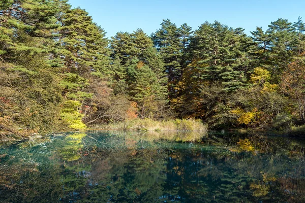 Étang Cinq Couleurs Goshiki Numa Automne Urabandai Fukushima Japon — Photo