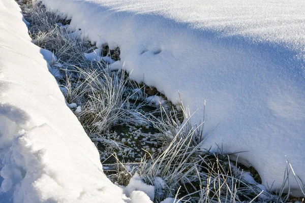 Paysage Hivernal Avec Arbres Neige — Photo