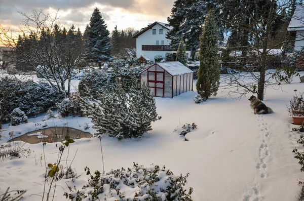 Winter Greenhouse Garden Lot Snow — Stock Photo, Image