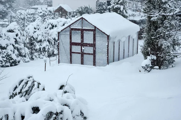 Зимняя Теплица Саду Большим Количеством Снега — стоковое фото
