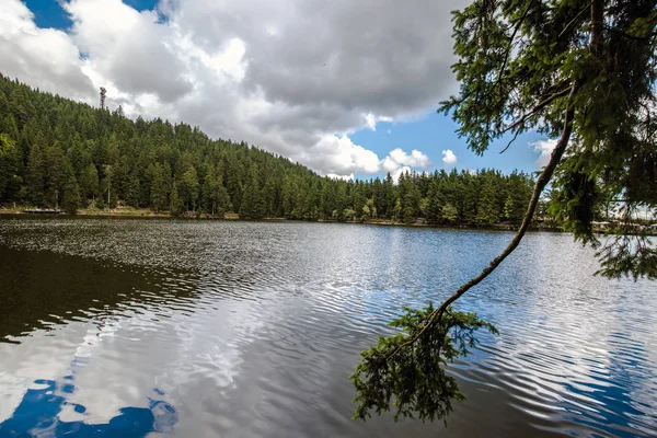 Lago Montanha Tranquilo Com Reflexos Das Florestas Verdes Circundantes Vistas — Fotografia de Stock