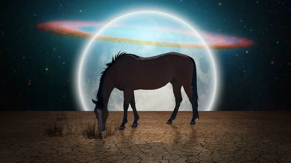 Surrealismus Pferd Weidet Trockenem Land Riesenmond Horizont — Stockfoto