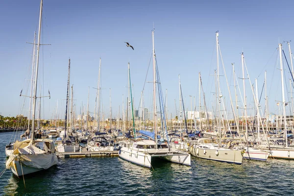 Segelboote Legen Einem Strahlenden Frühlingstag Yachthafen Von Barcelona — Stockfoto