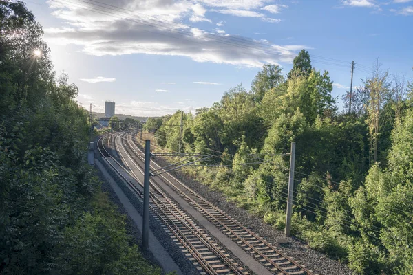 Rail tracks surrounded with green trees under a blue sky at sunset on a sunny day of summer
